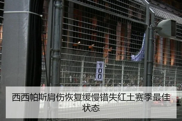 西西帕斯肩伤恢复缓慢错失红土赛季最佳状态