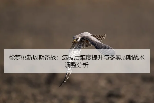徐梦桃新周期备战：选拔后难度提升与冬奥周期战术调整分析