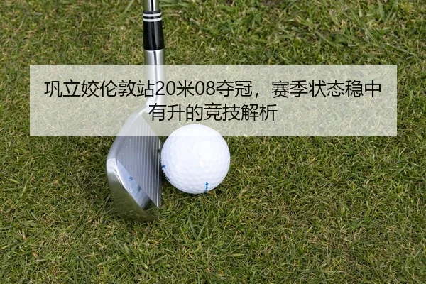 gong-li-jiao-lun-dun-zhan-mi-duo-guan-sai-ji-zhuang-tai-wen-zhong-you-sheng-de-jing-ji-jie-xi-3-750.jpg
